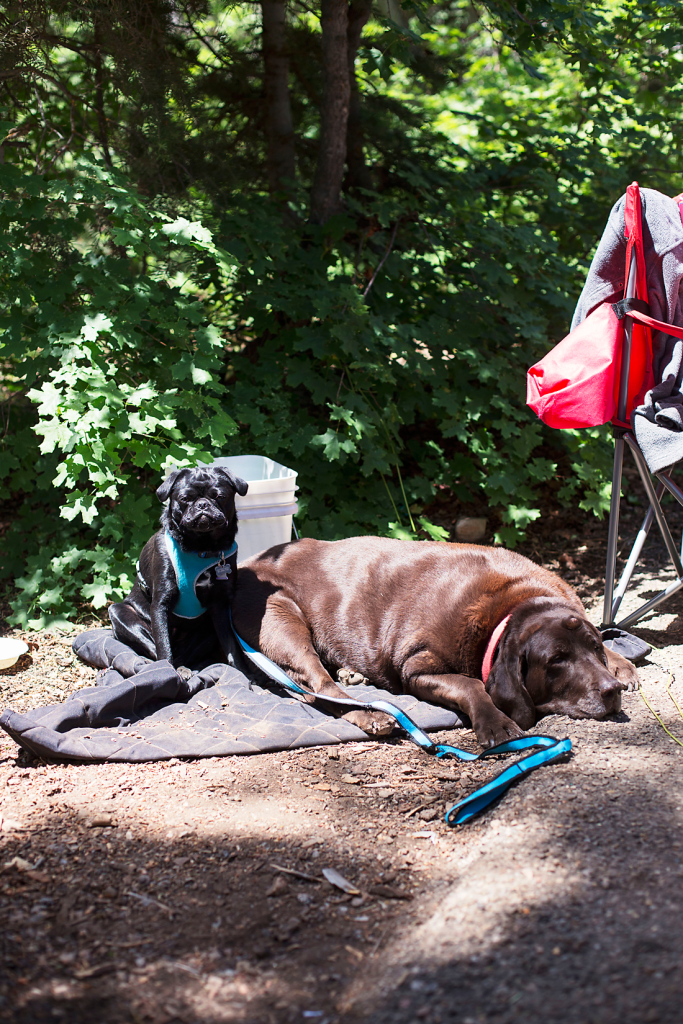 Beautiful Things Blog Campout 2014