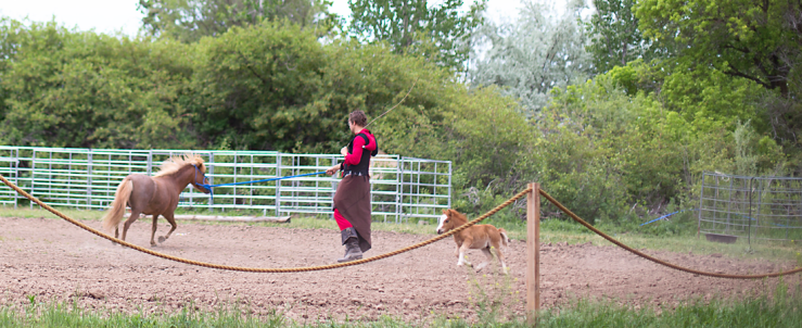 Beautiful Things Blog Renaissance Fair