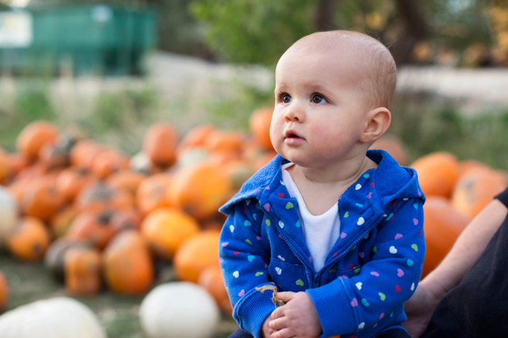 Pumpkins_2014_48-copy