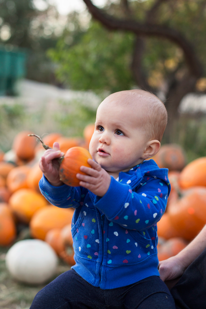 Pumpkins_2014_49-copy
