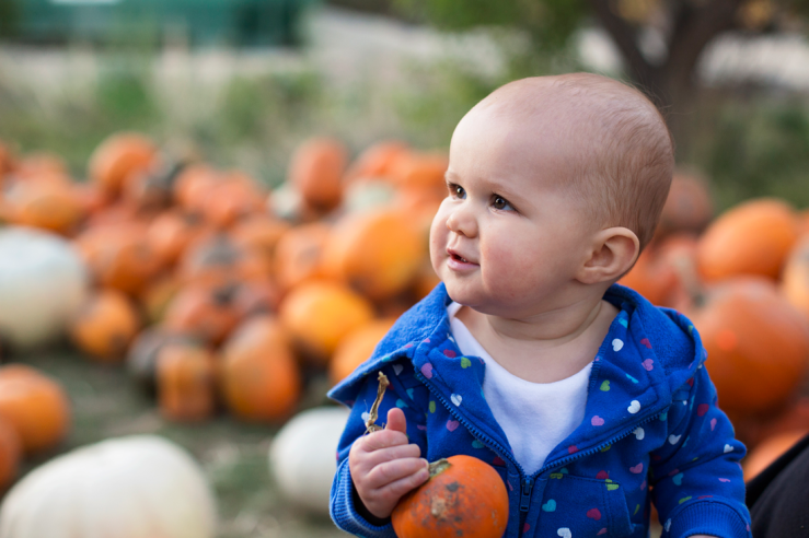 Pumpkins_2014_52-copy
