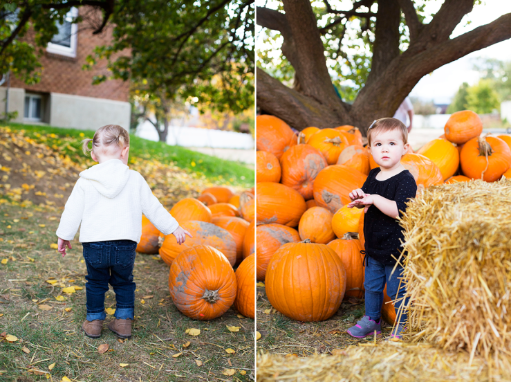 Beautiful Things Await You Pumpkin Picking
