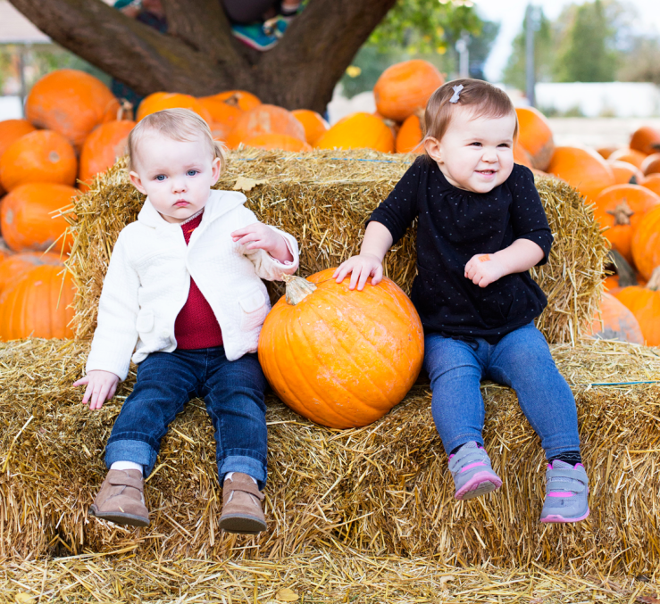 Beautiful Things Await You Pumpkin Picking
