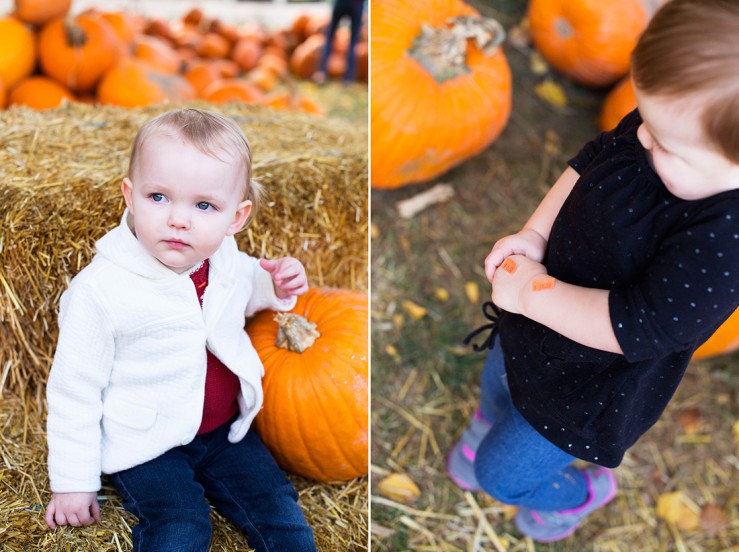 Beautiful Things Await You Pumpkin Picking