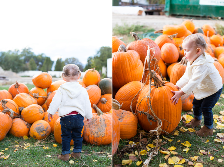 Beautiful Things Await You Pumpkin Picking