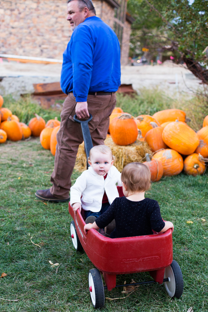 Beautiful Things Await You Pumpkin Picking