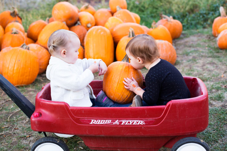 Beautiful Things Await You Pumpkin Picking