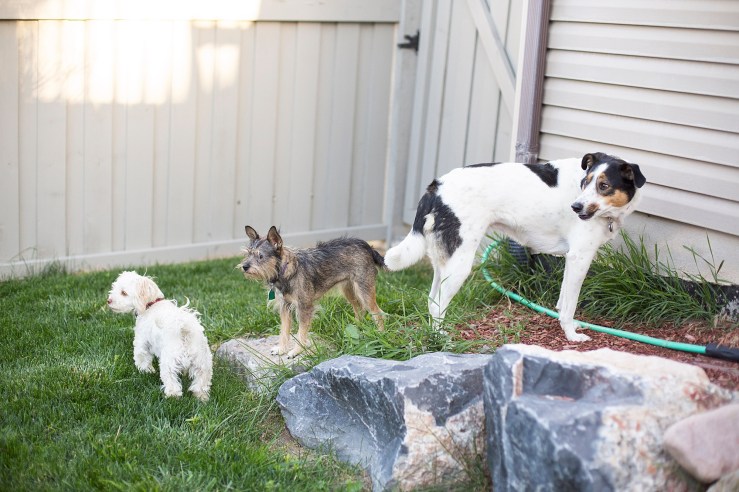 Beautiful Things Await You | Macquel Anderson